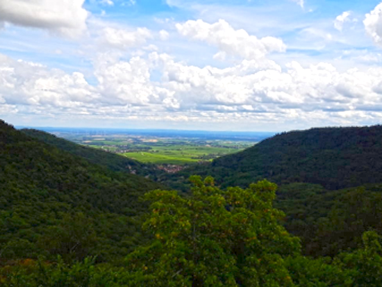 Annweiler, Trifels, Anebos und Münz Juli 2020